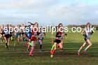 Girls Under-13s 2026 Northern Cross Country Champs., Pontefract Racecourse, Pontefract. Photo: David T. Hewitson/Sports for All Pics